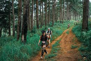 BIB: 
                            <button type="button" onclick="openModal(25662421)" class="btn btn-primary btn-sm float-right btn-popup" data-toggle="modal" data-target=".modal-high-quality">
                        <i class="fas fa-shopping-cart"></i> Add to Cart
                    </button>
                                            <button type="button" onclick="isThisMe(25662421, true)" class="btn btn-success btn-sm float-right btn-popup btn-isme hidden" data-toggle="tooltip" data-placement="bottom" title="นี่คือรูปของคุณใช่ไหม คลิกที่นี่เพื่อเอาเข้าอัลบั้ม">
                        <i class="fas fa-plus"></i> Add to album
                    </button>
                    <button type="button" onclick="isThisMe(25662421, false)" class="btn btn-warning btn-sm float-right btn-popup btn-isnotme hidden">
                        <i class="fas fa-ban"></i> Remove from album
                    </button>